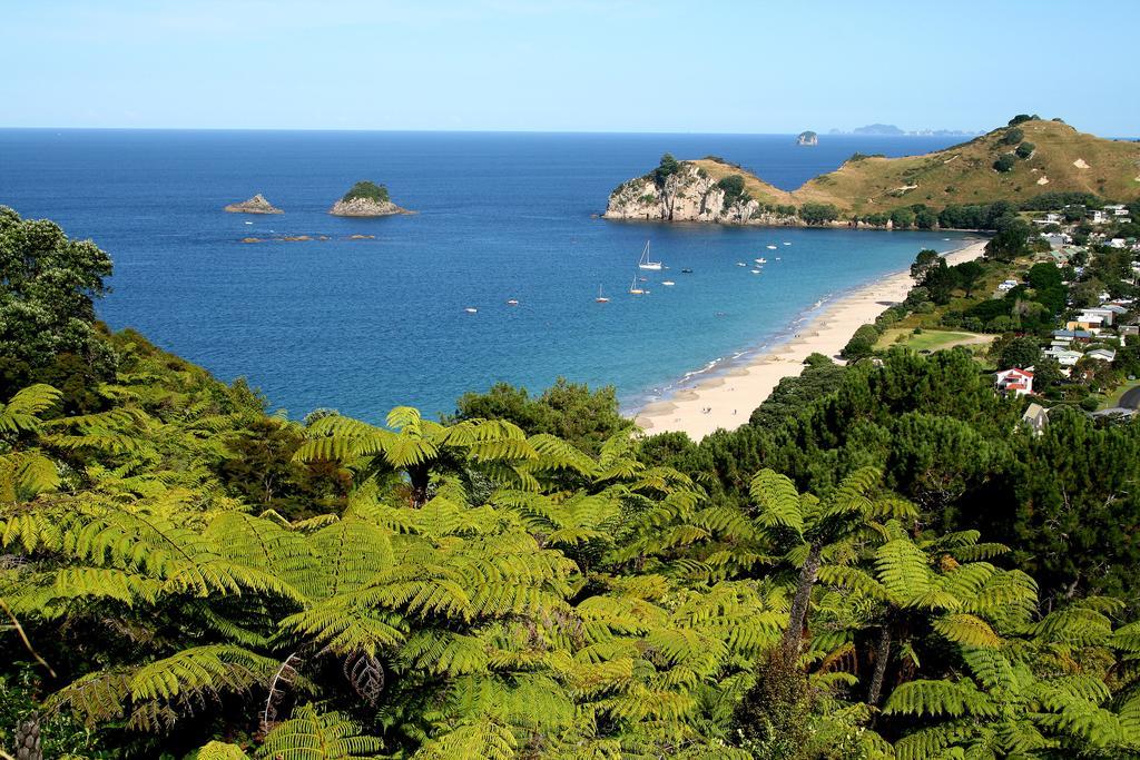 Hahei Beach Escape Luaran gambar